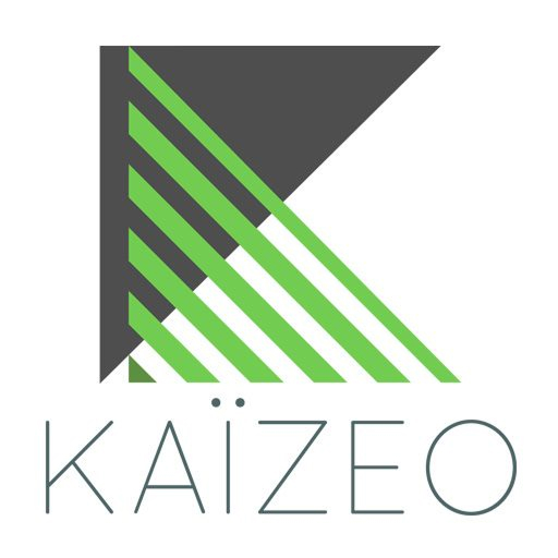 Logo Kaizeo