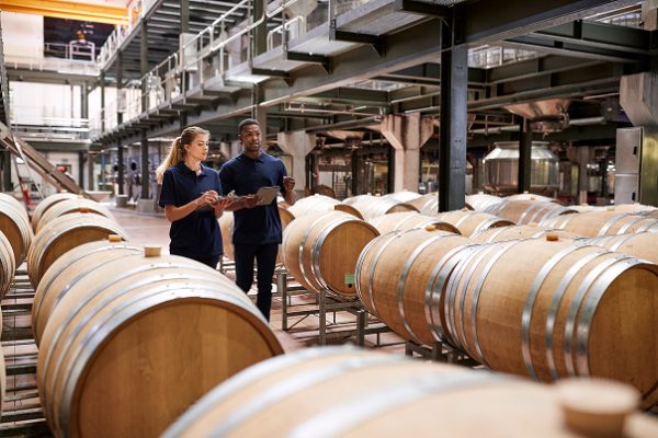 two-staff-inspecting-barrels-in-a-wine-factory-war-2024-10-19-07-48-23-utc (1)